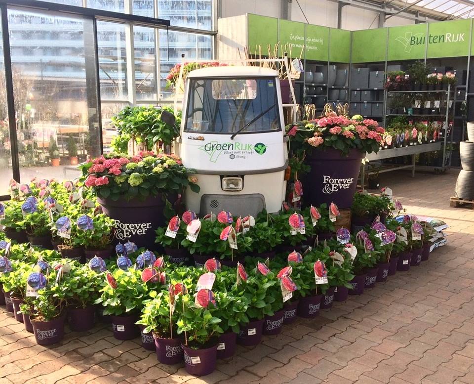 Extreme armoede Kennis maken totaal Bloemenwinkel - GroenRijk Tilburg