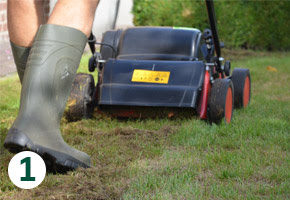 Gazon herstellen droogte GroenRijk Tilburg