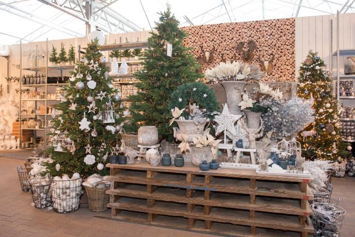 Kerstboom kopen 