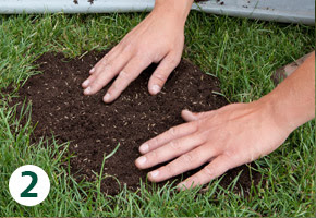 Gazon herstelwerkzaamheden na droogte Tilburg