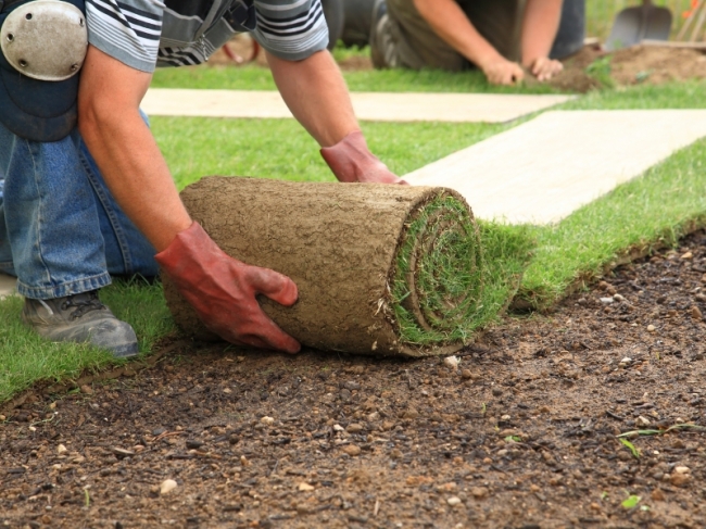Graszoden kopen bij GroenRijk Tilburg