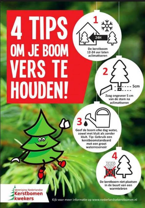 4 kerstboom tips 