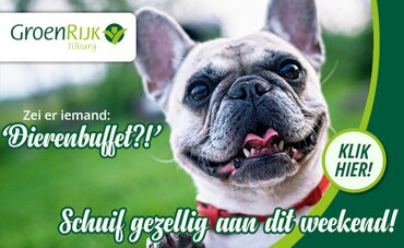 Dierenbuffet