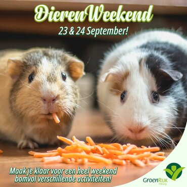 Dierenweekend!