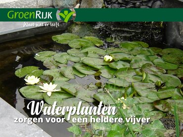Gratis vijverwatertestdag bij GroenRijk