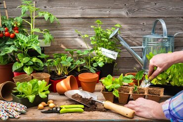 Moestuinieren