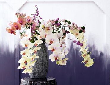 Orchideeënshow