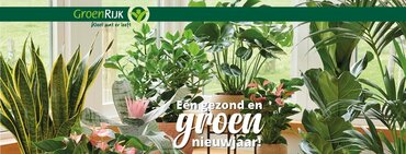 Pot & plant weekend