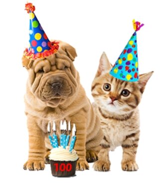 Vier Dierendag!