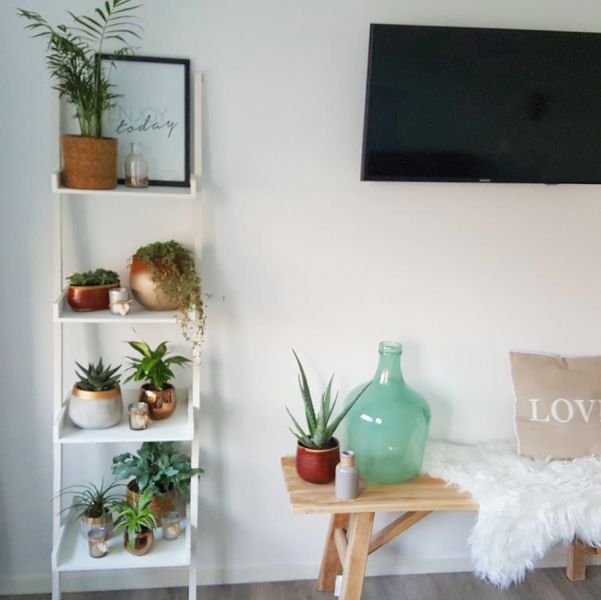 Foto: @detuinenthuisvan5