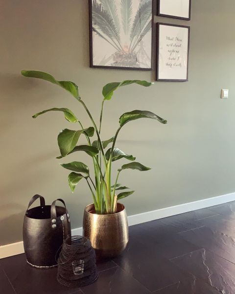 Foto: @industrialhome