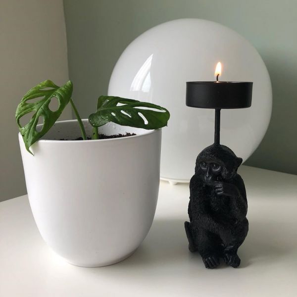 Foto: @partnersingroen