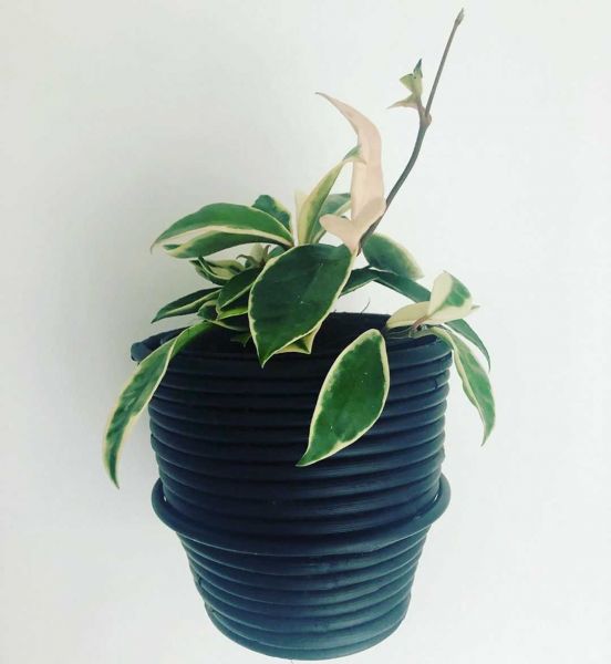 Foto: @Partnersingroen