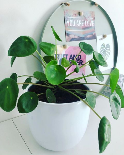 Foto: @Partnersingroen