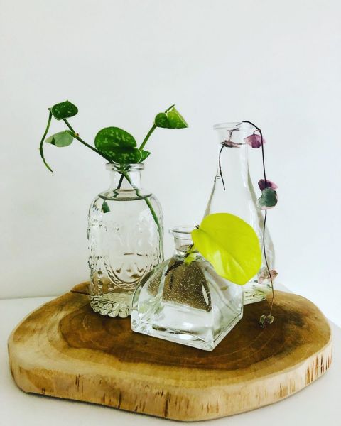 Foto: @partnersingroen