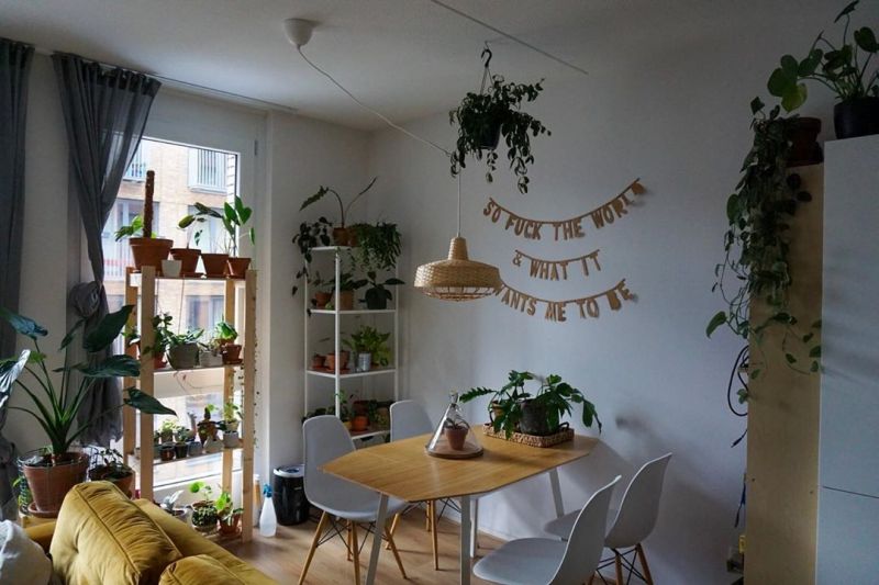 Foto: @waaromplantje