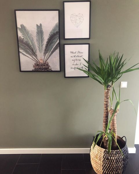 foto:  @_industrialhome