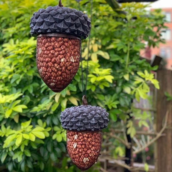 Foto: @binnenplanten