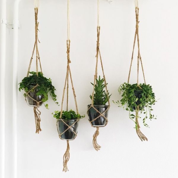 Foto: @karlijnsjungle