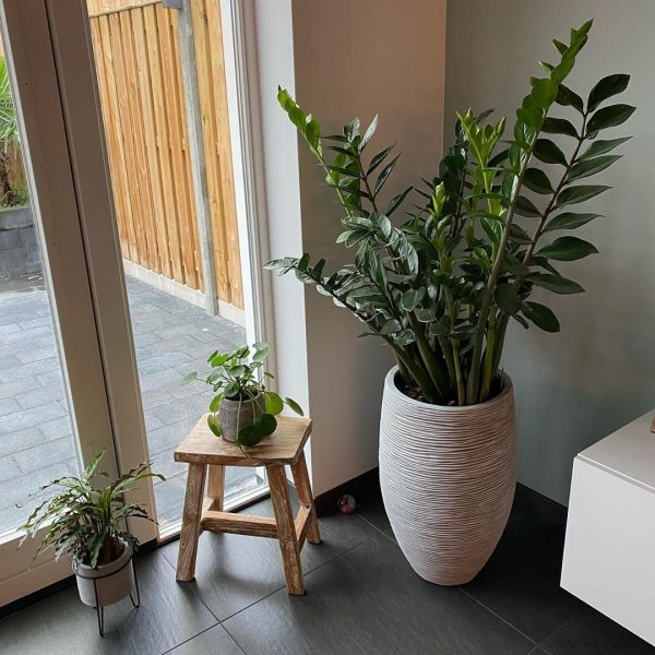 Foto: @Huisnummer_52