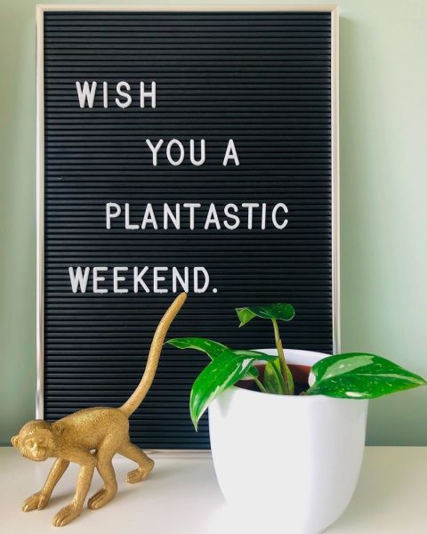 Foto: @Partnersingroen