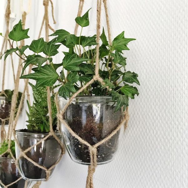 Foto: @karlijnsjungle