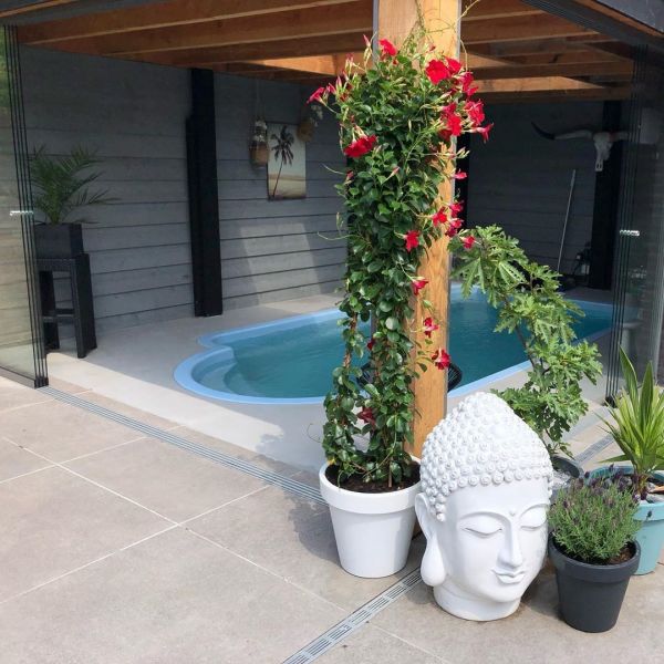 Foto: @renske_de_roij