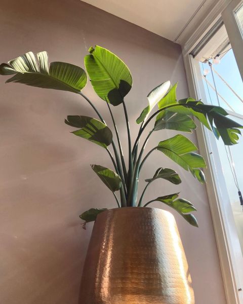 Foto: @interieurchick