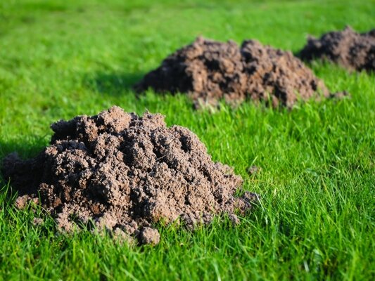 Meststoffen en bestrijding