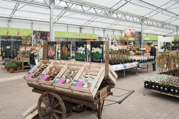 Bloembollen en zaden