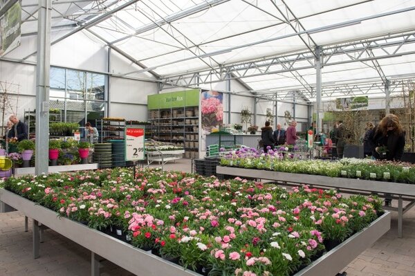 Perkgoed: Eénjarigen, kuipplanten en kruiden