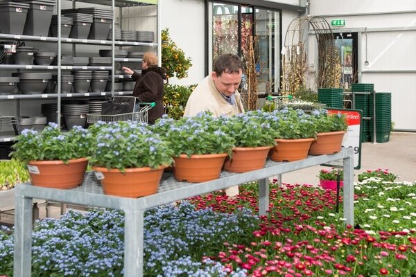 Perkgoed: Eénjarigen, kuipplanten en kruiden