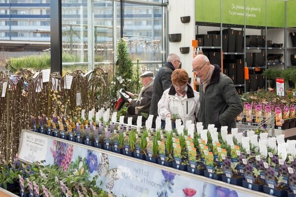 Vaste planten