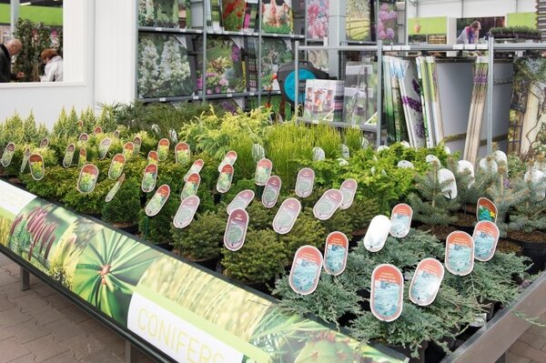Vaste planten