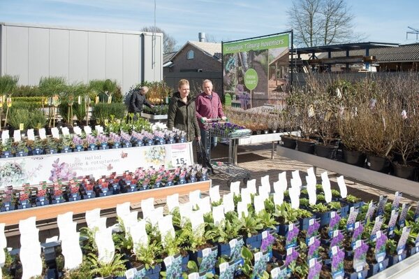 Vaste planten