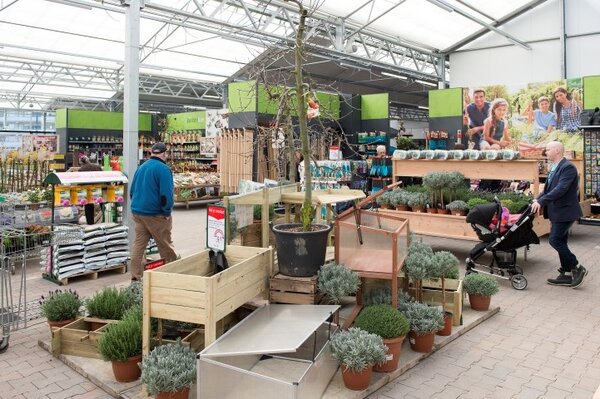 Bomen, heesters en coniferen