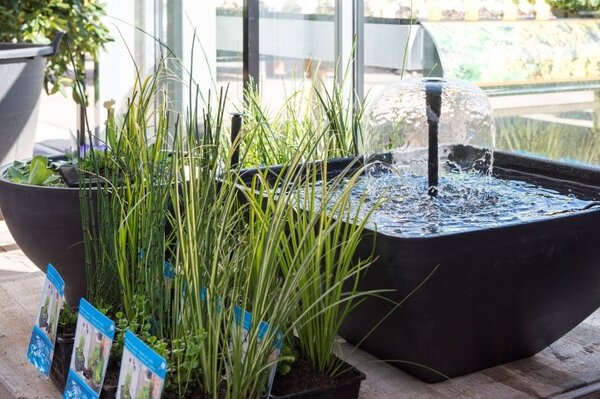 Vijveraanleg en onderhoud