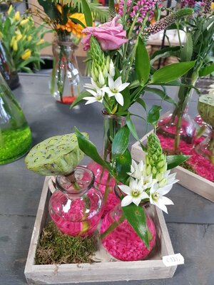 Kant en klaar stukjes