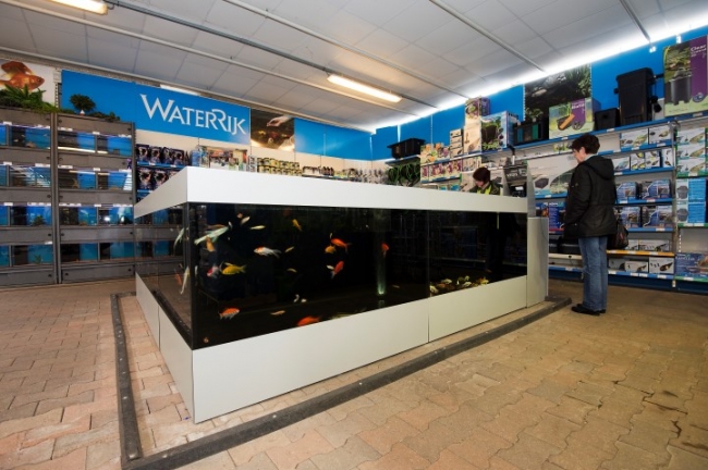 Het mooiste aquarium vindt u bij GroenRijk Tilburg