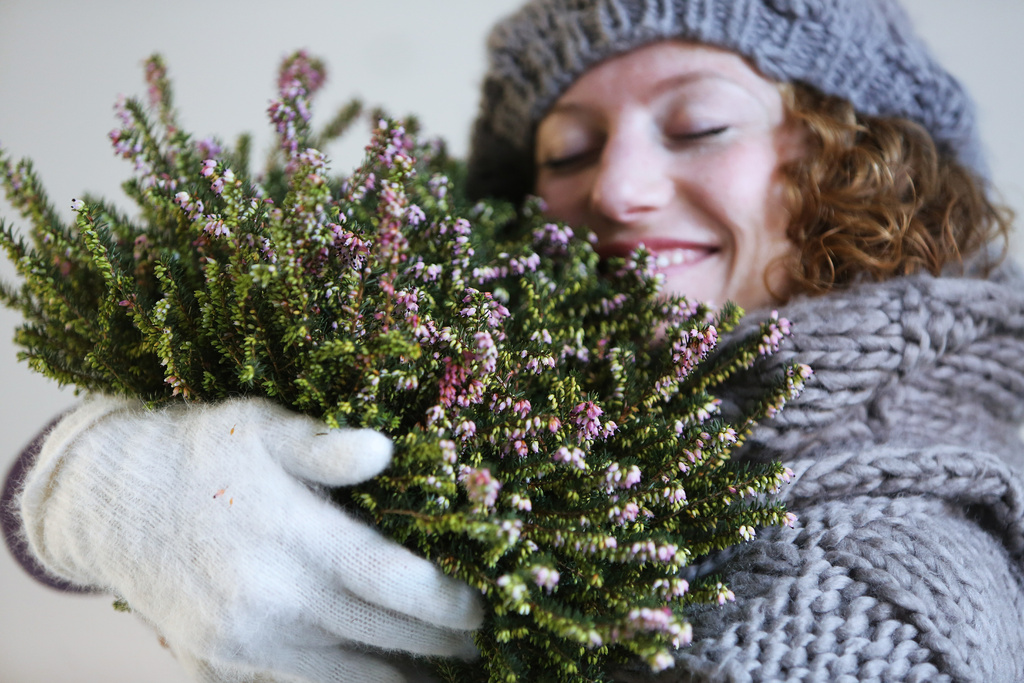 Winterheide tuinplant GroenRijk Tilburg